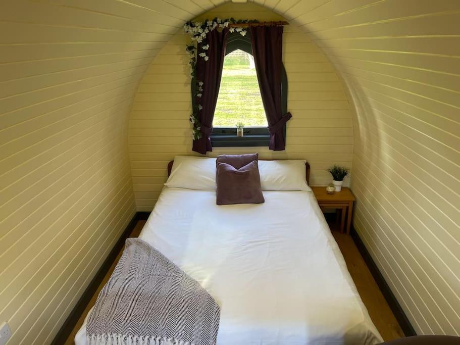 Belle Vista Glamping & * York