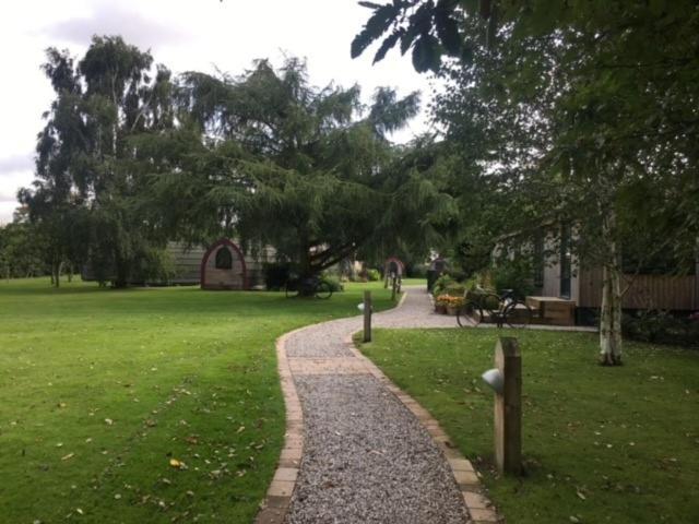 Campsite Belle Vista Glamping &